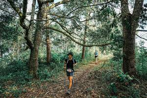 BIB: 
                            <button type="button" onclick="openModal(25665954)" class="btn btn-primary btn-sm float-right btn-popup" data-toggle="modal" data-target=".modal-high-quality">
                        <i class="fas fa-shopping-cart"></i> Add to Cart
                    </button>
                                            <button type="button" onclick="isThisMe(25665954, true)" class="btn btn-success btn-sm float-right btn-popup btn-isme hidden" data-toggle="tooltip" data-placement="bottom" title="นี่คือรูปของคุณใช่ไหม คลิกที่นี่เพื่อเอาเข้าอัลบั้ม">
                        <i class="fas fa-plus"></i> Add to album
                    </button>
                    <button type="button" onclick="isThisMe(25665954, false)" class="btn btn-warning btn-sm float-right btn-popup btn-isnotme hidden">
                        <i class="fas fa-ban"></i> Remove from album
                    </button>